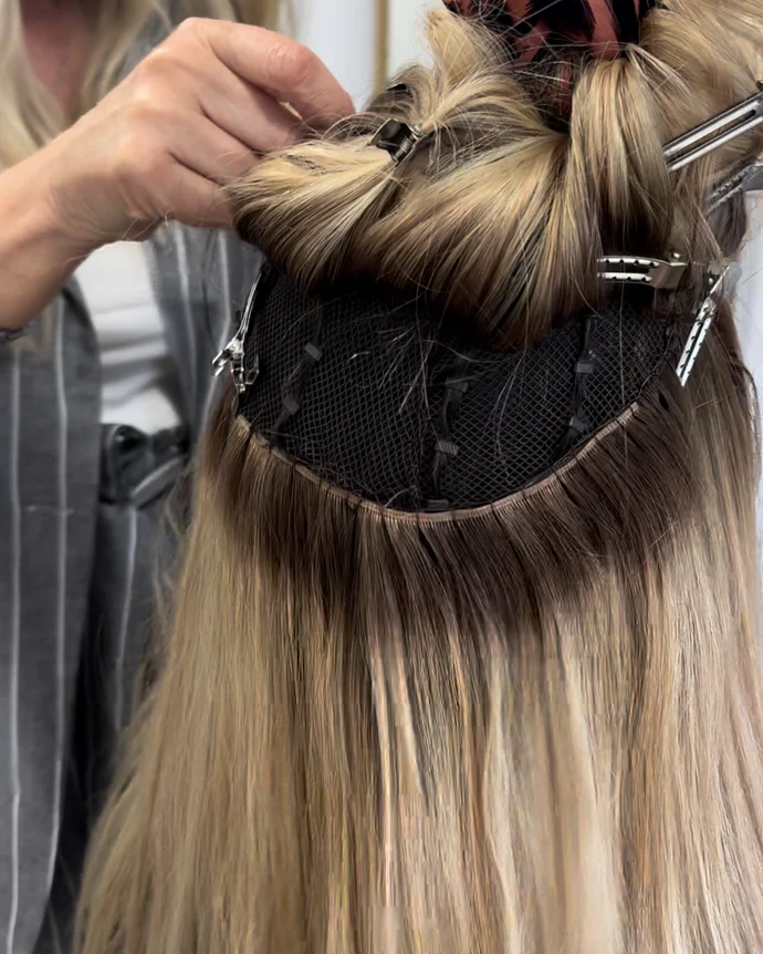 Mesh Integration System